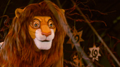 Festival of the Lion King