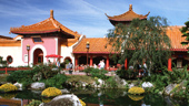 Nine Dragons Restaurant