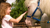 Pony_Rides.jpg