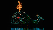 electricwaterpageant.jpg