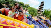 The Magic Carpets of Aladdin