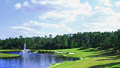 Osprey_Ridge-GC.jpg