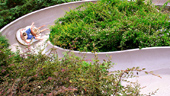 Runoff Rapids