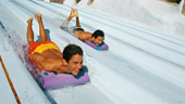 Toboggan Racers