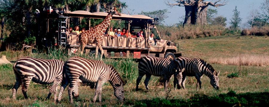 Disney's Animal Kingdom