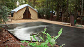 wdw-campsites-fort-wilderness-rooms-preferred-campsite-170x96.jpg