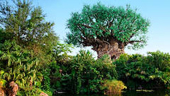 WDW_Parks_Listing_Animal_Kingdom.JPG