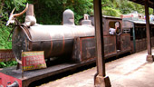 Wildlife Express Train