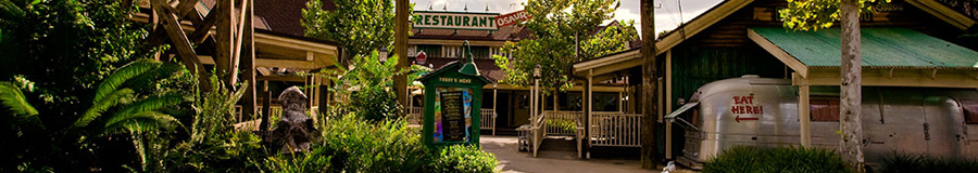Disney's Animal Kingdom - Refeições