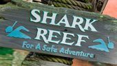 Shark Reef